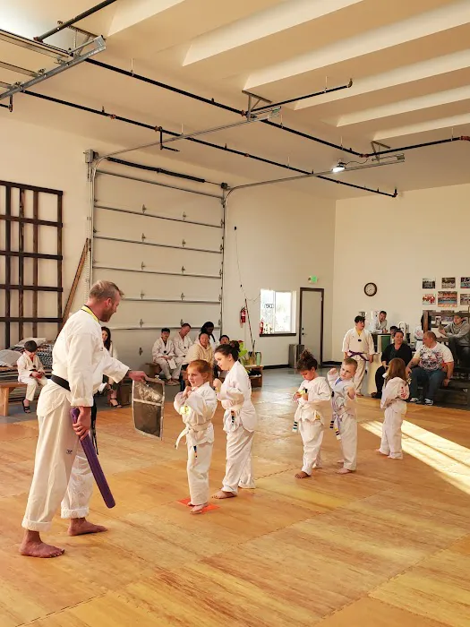 USTA Martial Arts-Stanwood Picture 3
