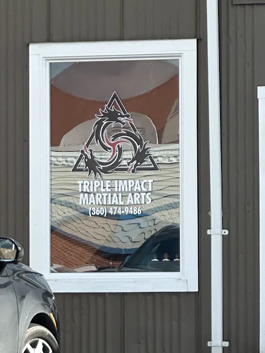 Triple Impact Martial Arts Picture 4