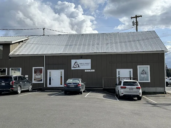 Triple Impact Martial Arts Picture 3