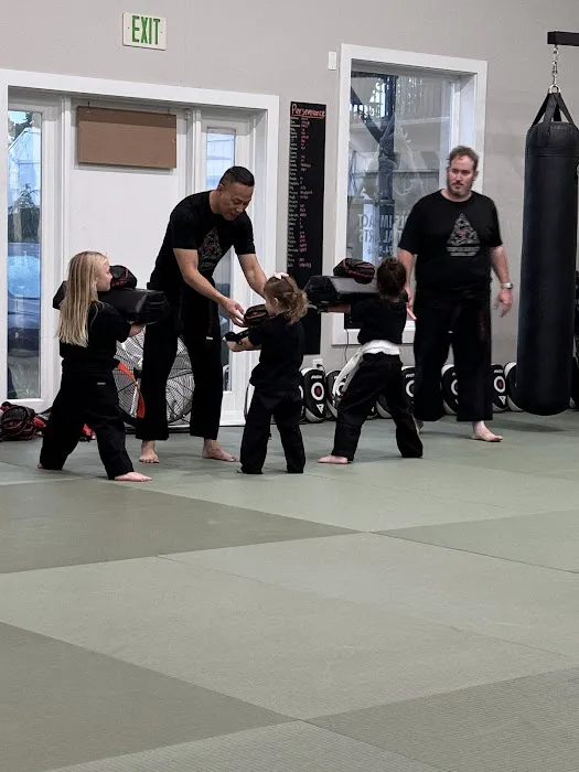 Triple Impact Martial Arts Picture 1