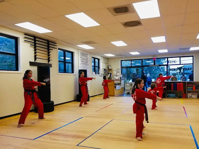 K-Dragon Martial Arts Picture 7