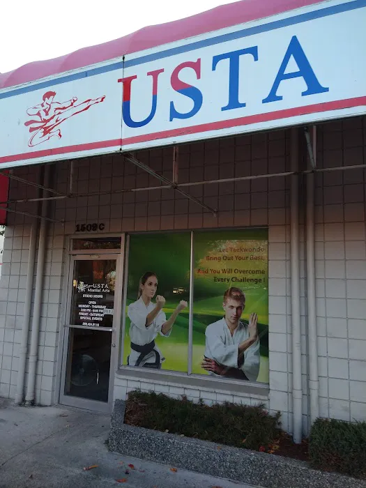 USTA Martial Arts-Mount Vernon Picture 6