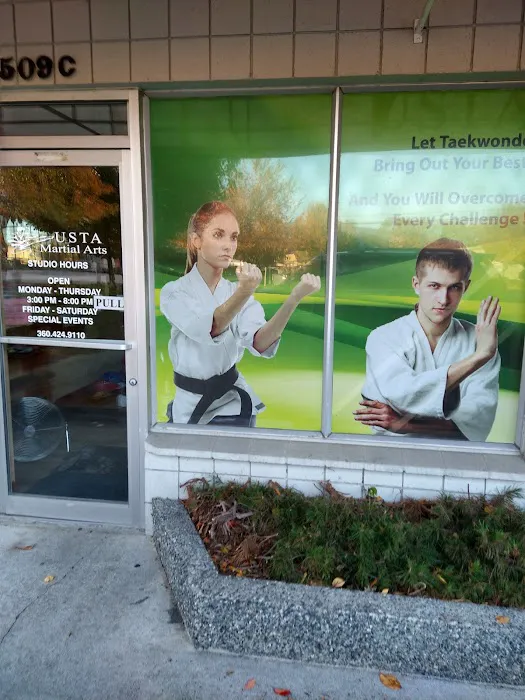 USTA Martial Arts-Mount Vernon Picture 9