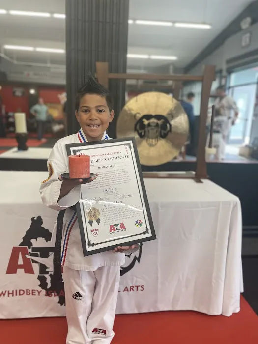 Whidbey Island Martial Arts Picture 4
