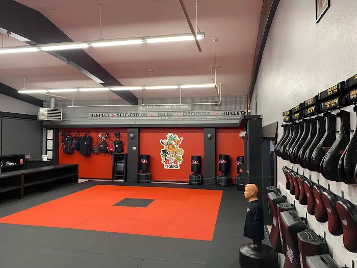 Whidbey Island Martial Arts Picture 7