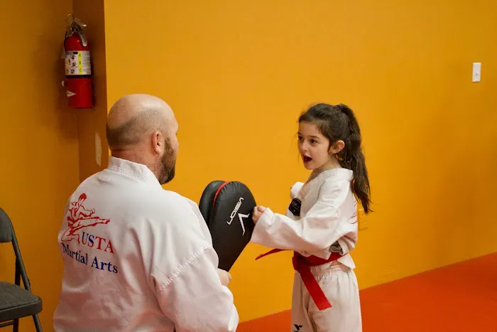 USTA Martial Arts-Bellingham Picture 4