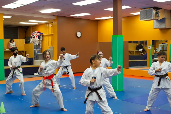 USTA Martial Arts-Bellingham Picture 10