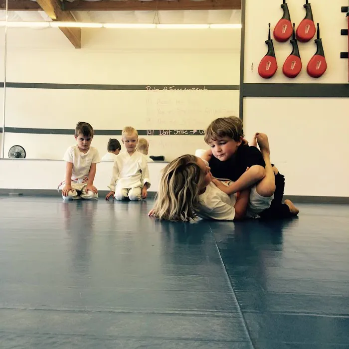 TORQUE Martial Arts Picture 4