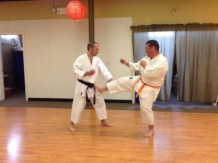 Traditional Karate of Bellingham Picture 2