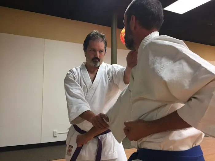 Traditional Karate of Bellingham Picture 4