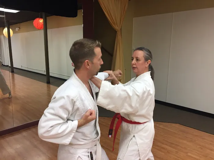Traditional Karate of Bellingham Picture 5