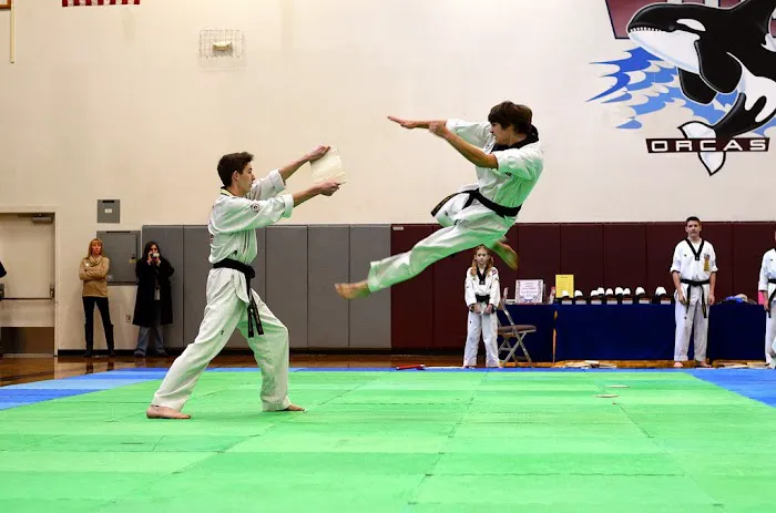 USTA Martial Arts-Ferndale Picture 4