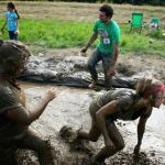 USTA Martial Arts-Ferndale