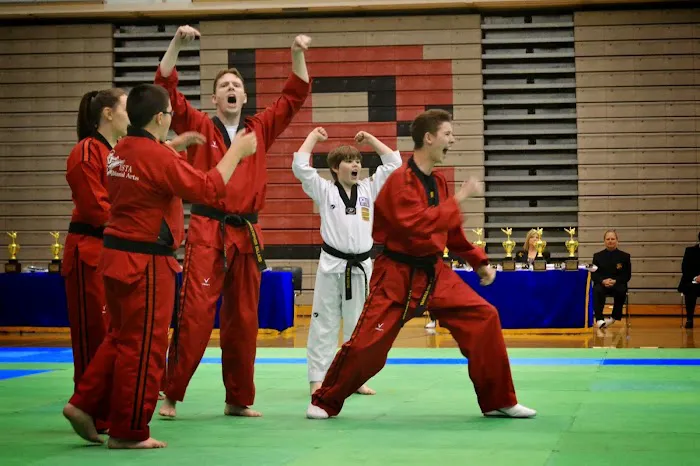 USTA Martial Arts-Ferndale Picture 6
