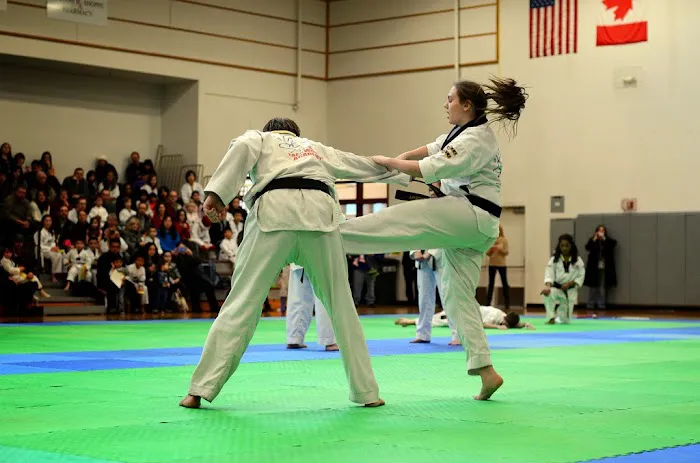 USTA Martial Arts-Ferndale Picture 7