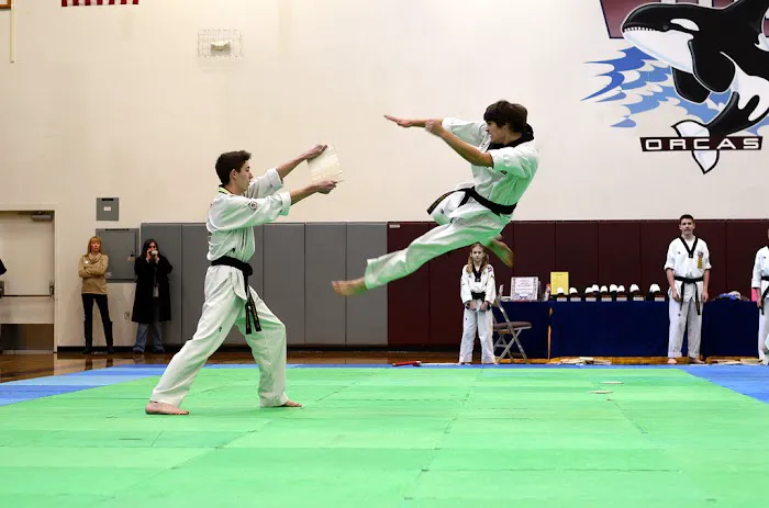 USTA Martial Arts-Lynden Picture 6