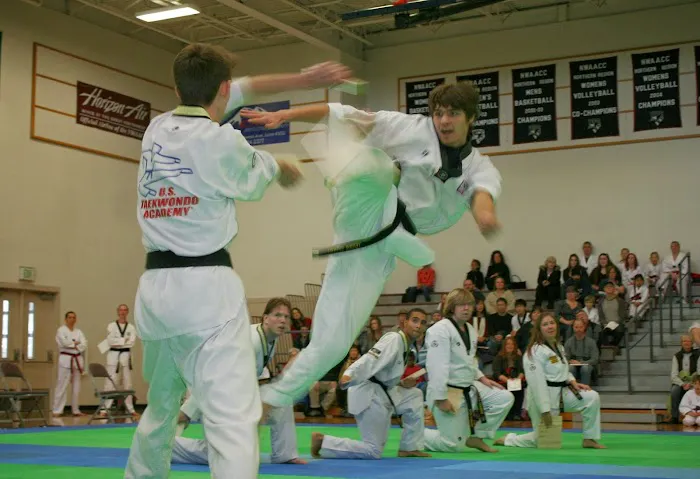 USTA Martial Arts-Lynden Picture 4