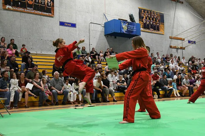 USTA Martial Arts-Lynden Picture 10