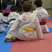 USTA Martial Arts-Blaine ico