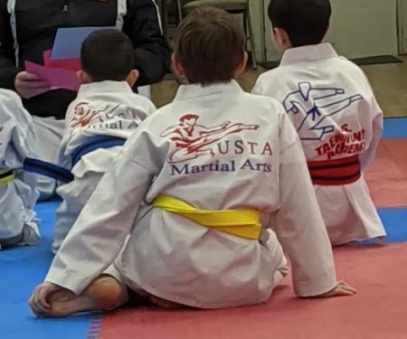 USTA Martial Arts-Blaine