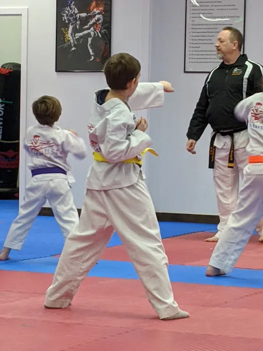 USTA Martial Arts-Blaine Picture 2