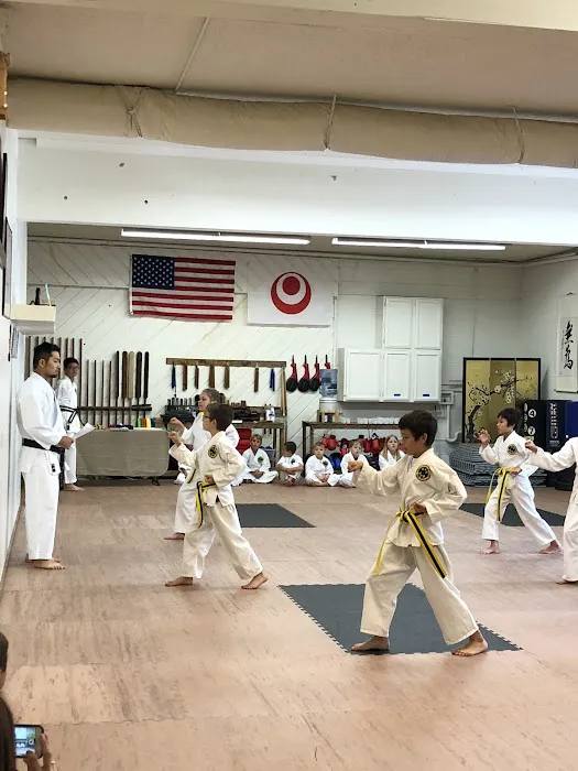 Seibukan Karatedo Oak Harbor Picture 3