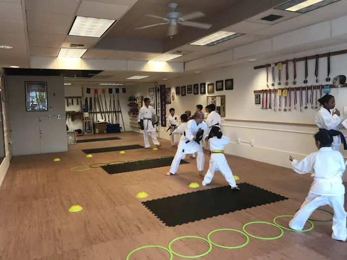 Seibukan Karatedo Oak Harbor Picture 1