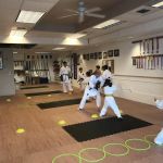 Seibukan Karatedo Oak Harbor