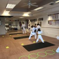 Seibukan Karatedo Oak Harbor ico