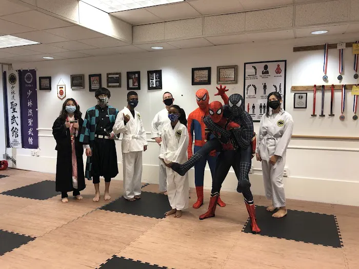 Seibukan Karatedo Oak Harbor Picture 2