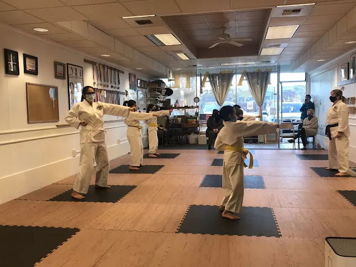 Seibukan Karatedo Oak Harbor Picture 10