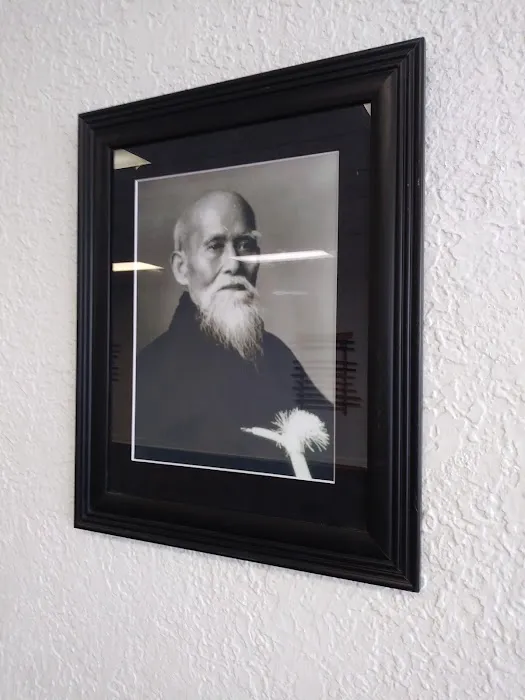 Aikido Seikikai Picture 3