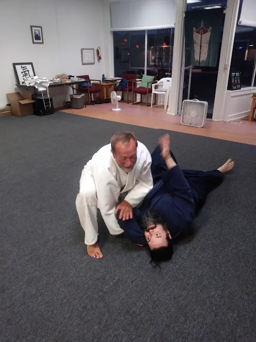 Aikido Seikikai Picture 2
