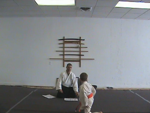 Aikido Seikikai Picture 6