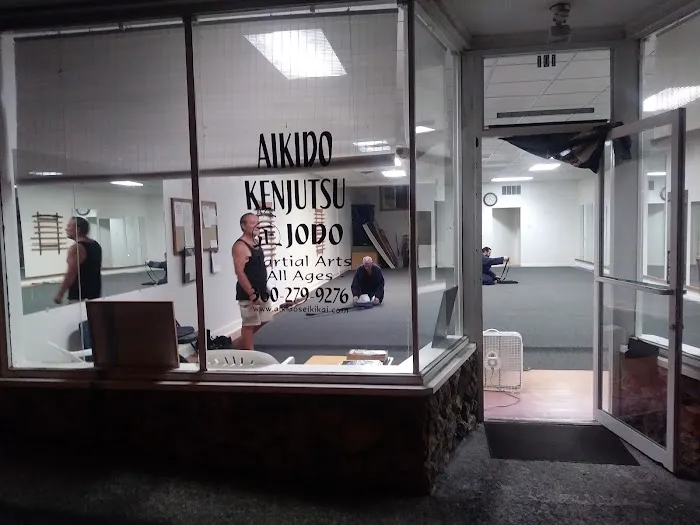 Aikido Seikikai Picture 8