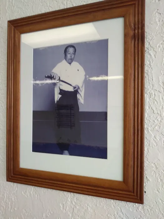 Aikido Seikikai Picture 4