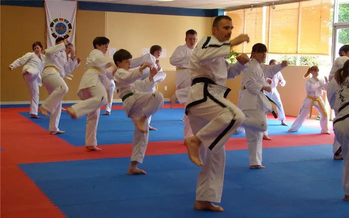 Bodystrong Taekwon-do Academy Picture 2