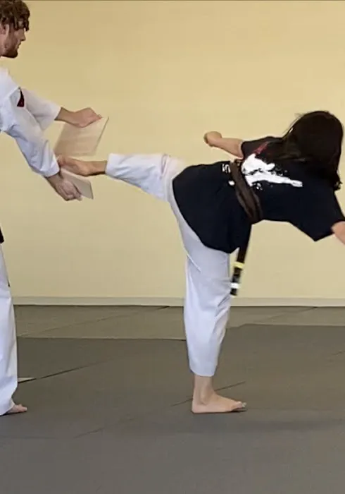 JungDo Taekwondo Academy Picture 3