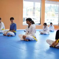 USTA Martial Arts-Everett l Taekwondo ico