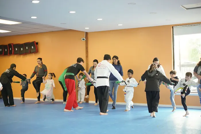 USTA Martial Arts-Everett l Taekwondo Picture 7