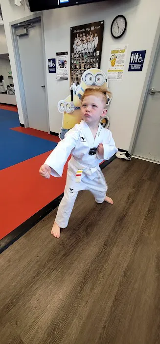 Taekwondo Way Picture 3