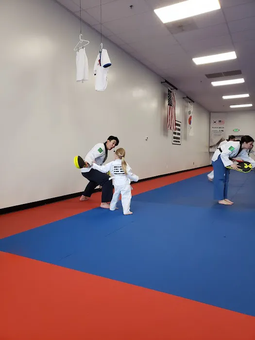 Taekwondo Way Picture 5