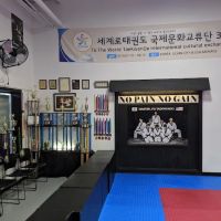 Master Ji's Taekwondo ico