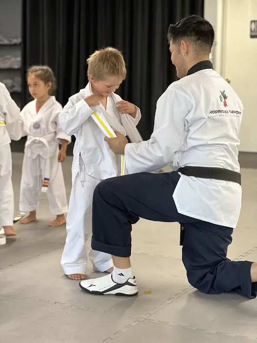Rodriguez Taekwondo Picture 3
