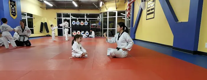 K&K Taekwondo Picture 8