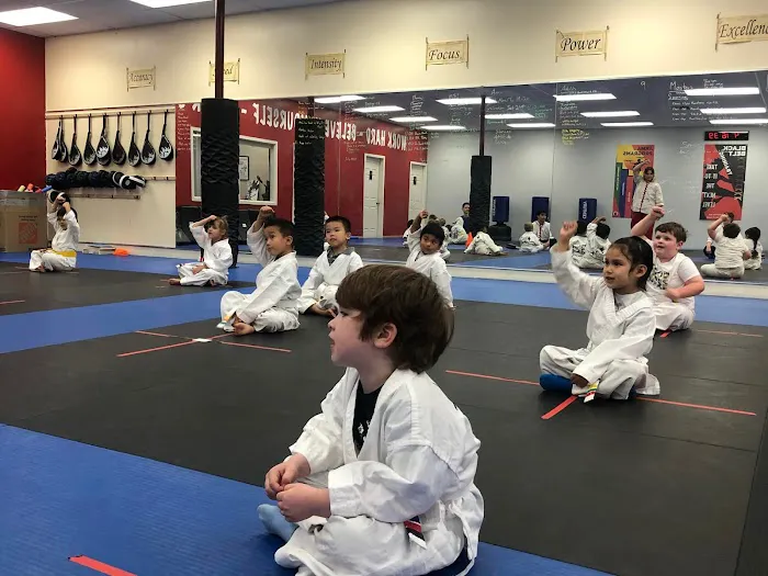 Academy of Kempo Martial Arts Picture 9