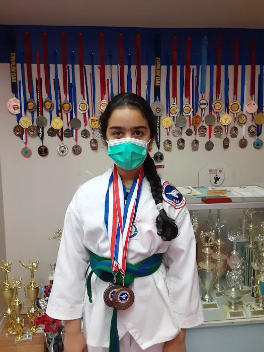 Evergreen Taekwondo Academy Picture 8