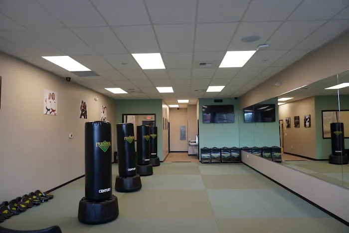 Premier Martial Arts Millcreek Picture 1