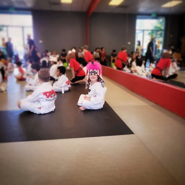 DMW Martial Arts Picture 6