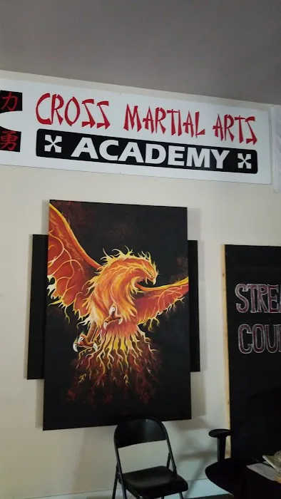 Cross Martial Arts Academy Picture 3
